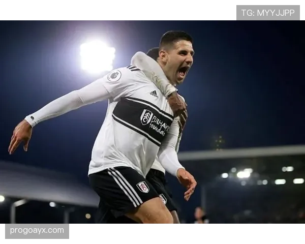 米特罗维奇强势对抗助球队逆转取胜，表现抢眼