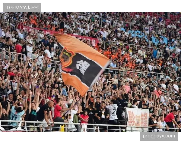 欧洲杯夜场点燃球迷热情，共襄足球盛宴尽显赛事魅力