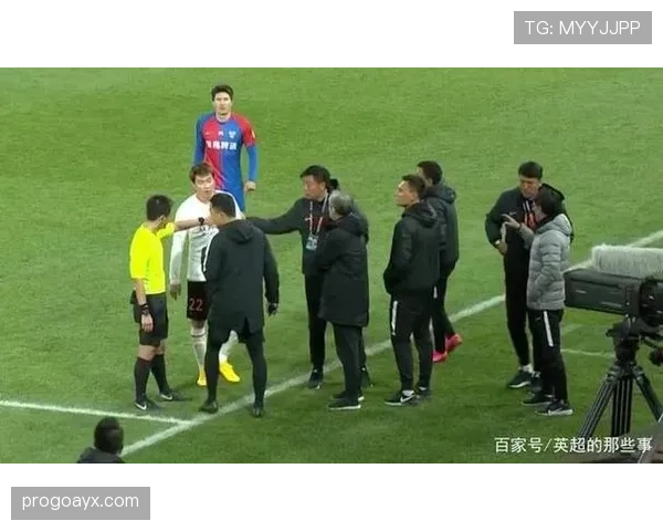 教练区规则拆解：场边行为限制和裁判判罚标准解析